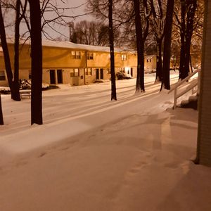 免费的黄色电影网站
