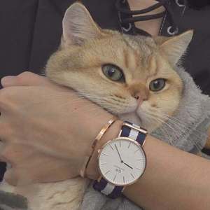 免费的黄色电影网站
