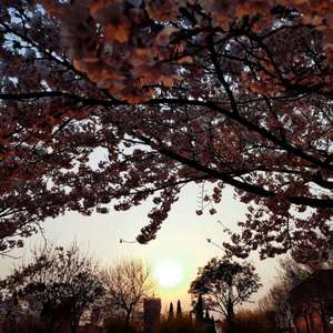 免费的黄色电影网站
