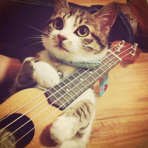 免费的黄色电影网站
